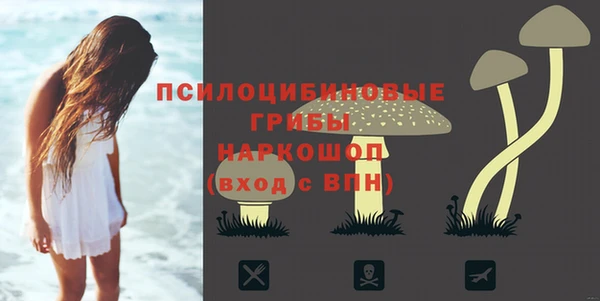 кокаин Богданович