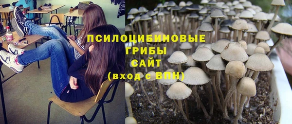 МДПВ Богородск