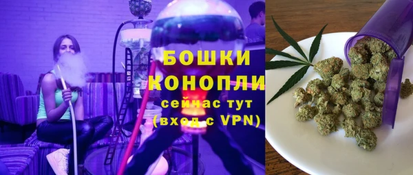МДПВ Богородск