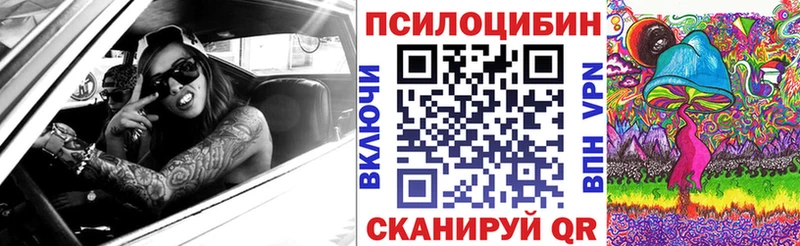 Купить  Малоархангельск  Галлюциногенные грибы мицелий 